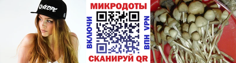 что такое   Кисловодск  Псилоцибиновые грибы GOLDEN TEACHER 