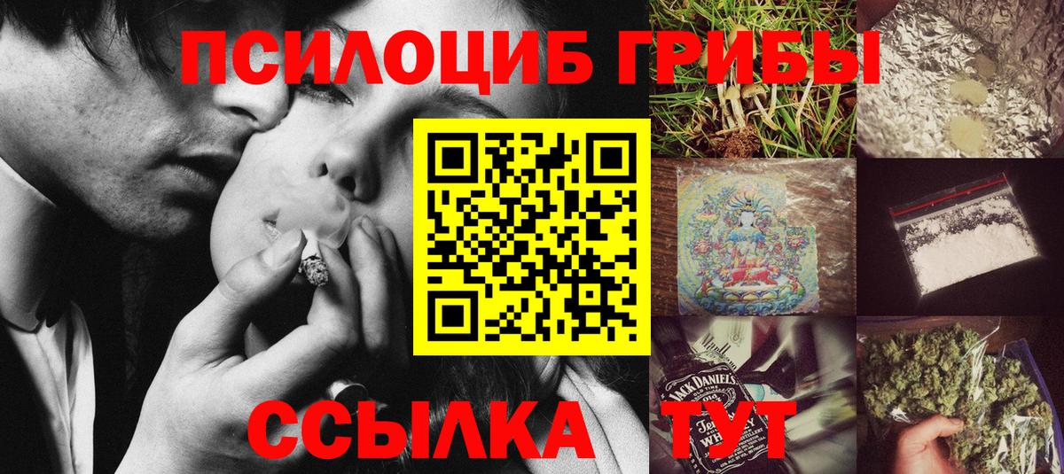 Кисловодск  Галлюциногенные грибы Psilocybine cubensis  Вход с VPN 